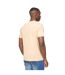 Mens pittifore t-shirt stone Duck and Cover-2