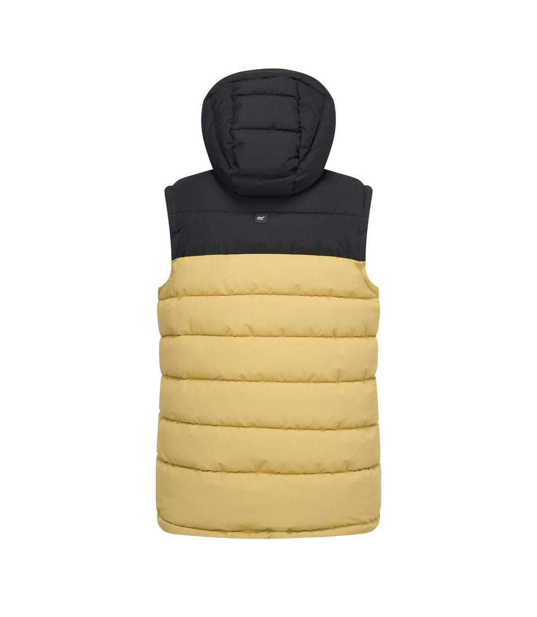 Veste Sans Manches À Capuche Aldthorn Homme Beige Noir Regatta-3