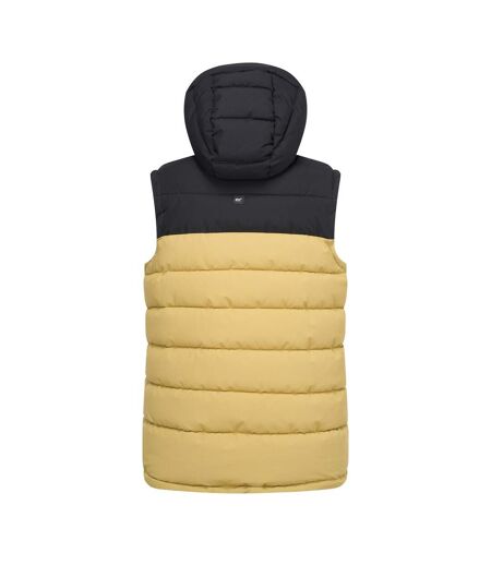 Veste Sans Manches À Capuche Aldthorn Homme Beige Noir Regatta