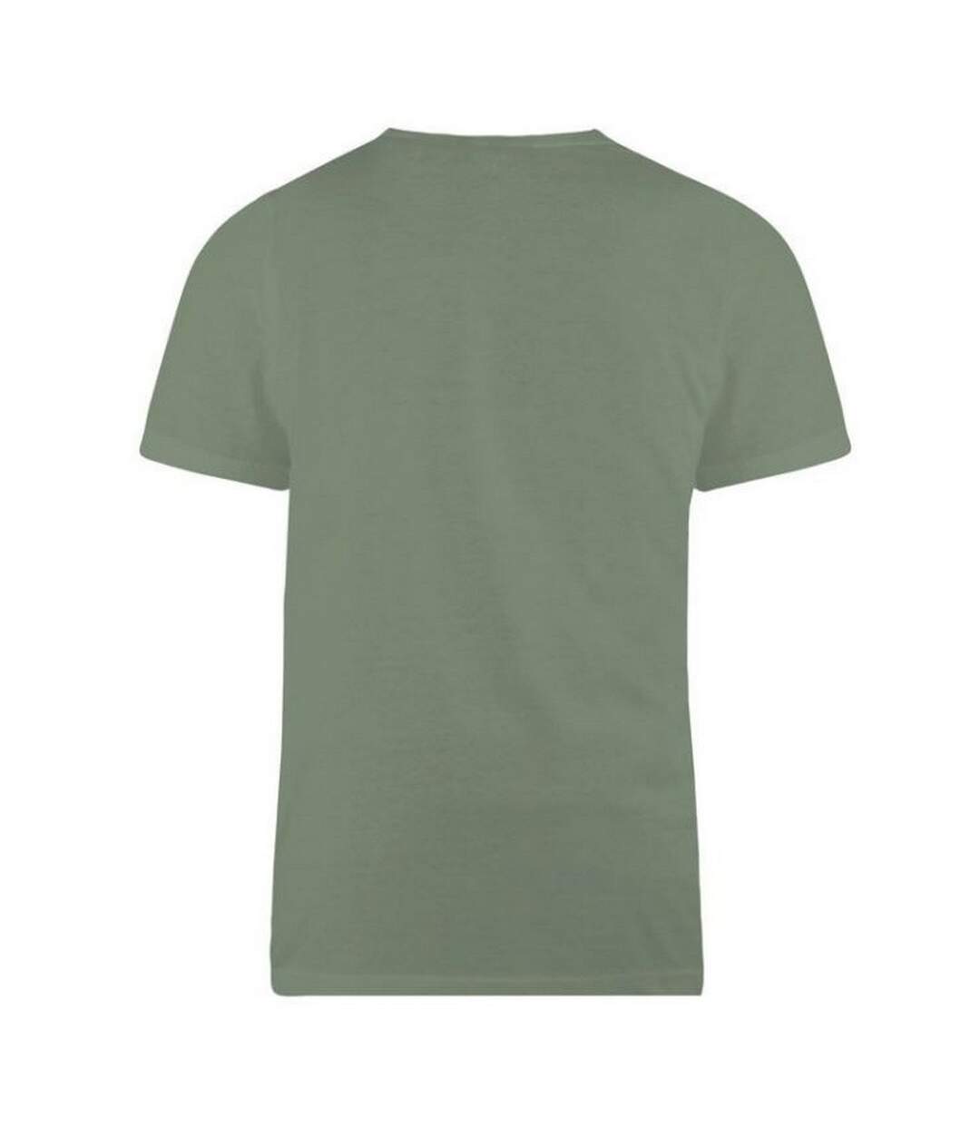 Duke - T-shirt FLYERS - Homme (Grande taille) (Kaki) - UTDC170