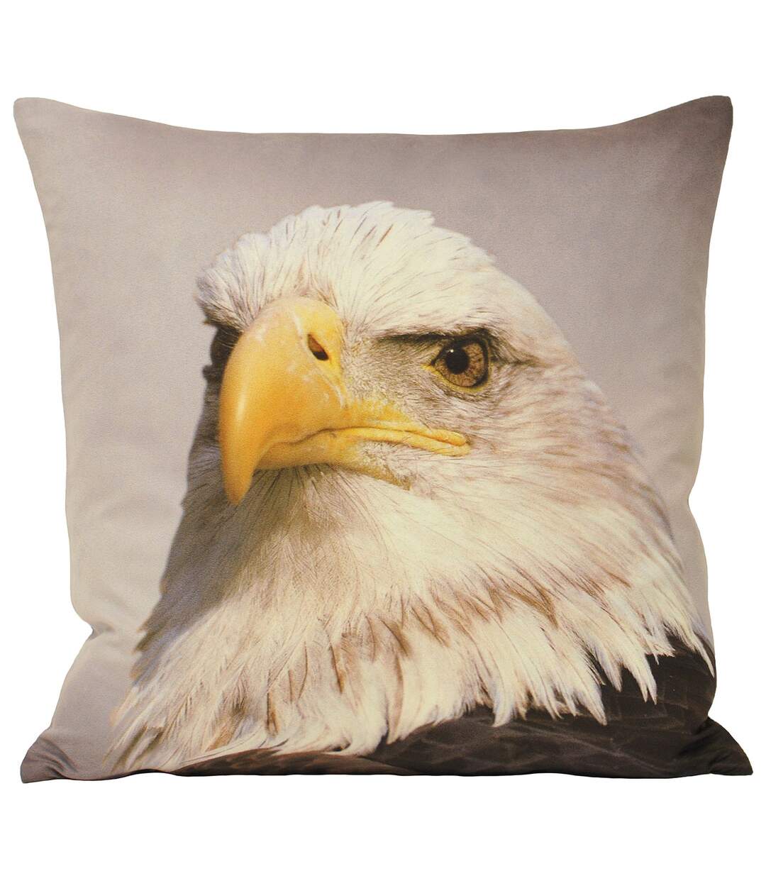 Riva Home Animal Eagle Cushion Cover (Multi) - UTRV133