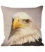 Riva Home Animal Eagle - Housse de coussin (Multicolore) (45x45cm) - UTRV133