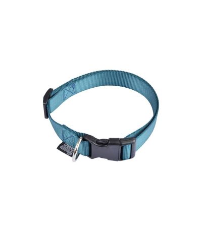 Collier Réglable pour Chien Essentiel 70cm Émeraude