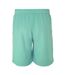 Mens Cotton Blend Shorts Light Green Fabric-2