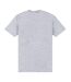 Park Fields - T-shirt BALLERS - Adulte (Gris chiné) - UTPN637