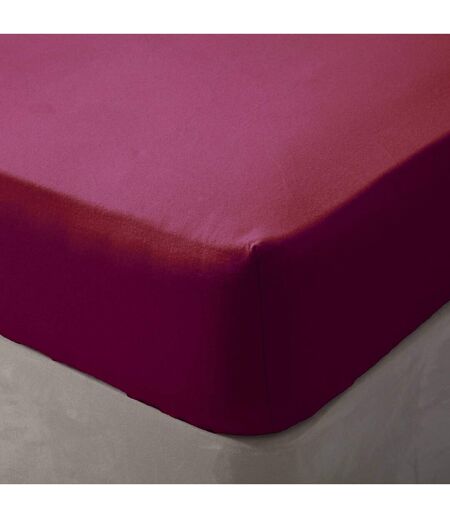 Belledorm Brushed Cotton Fitted Sheet (Red) - UTBM303