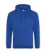 Sweat à capuche college homme bleu roi vif Awdis