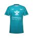 Maillot Extérieur Motif/style Scarlets 2023/2024 Homme Vert Émeraude Castore-1