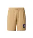 Mens Nse Fleece Shorts Stone The North Face-2