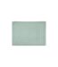 Tapis de Bain Confort 50x70cm Vert Céladon-1