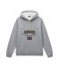 Sweat À Capuche Motif/style Logo Homme Gris Chiné Napapijri-2