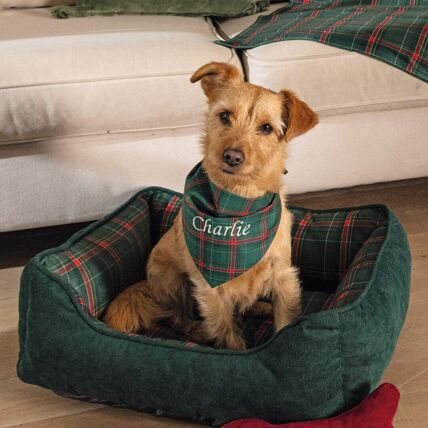 Panier pour chien