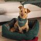 Panier pour chien-1