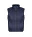 Veste Sans Manches Honestly Made Homme Bleu Marine Regatta-2