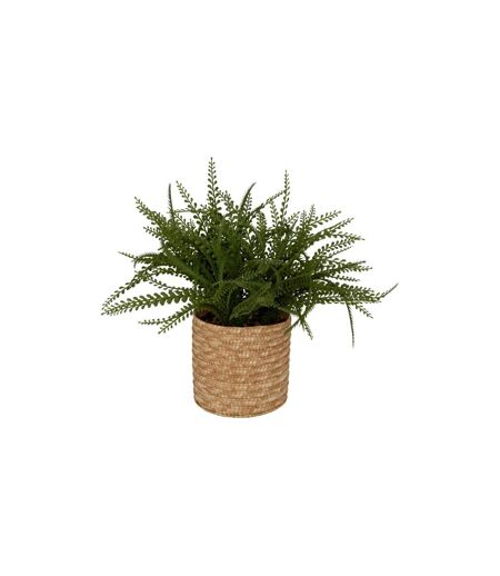Fougère Artificielle en Pot Clemy 30cm Vert