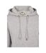 Sweat À Capuche Basic Homme Gris Urban Classics-3
