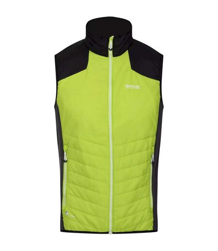 Veste Sans Manches Halton Homme Kiwi Vif Noir Regatta