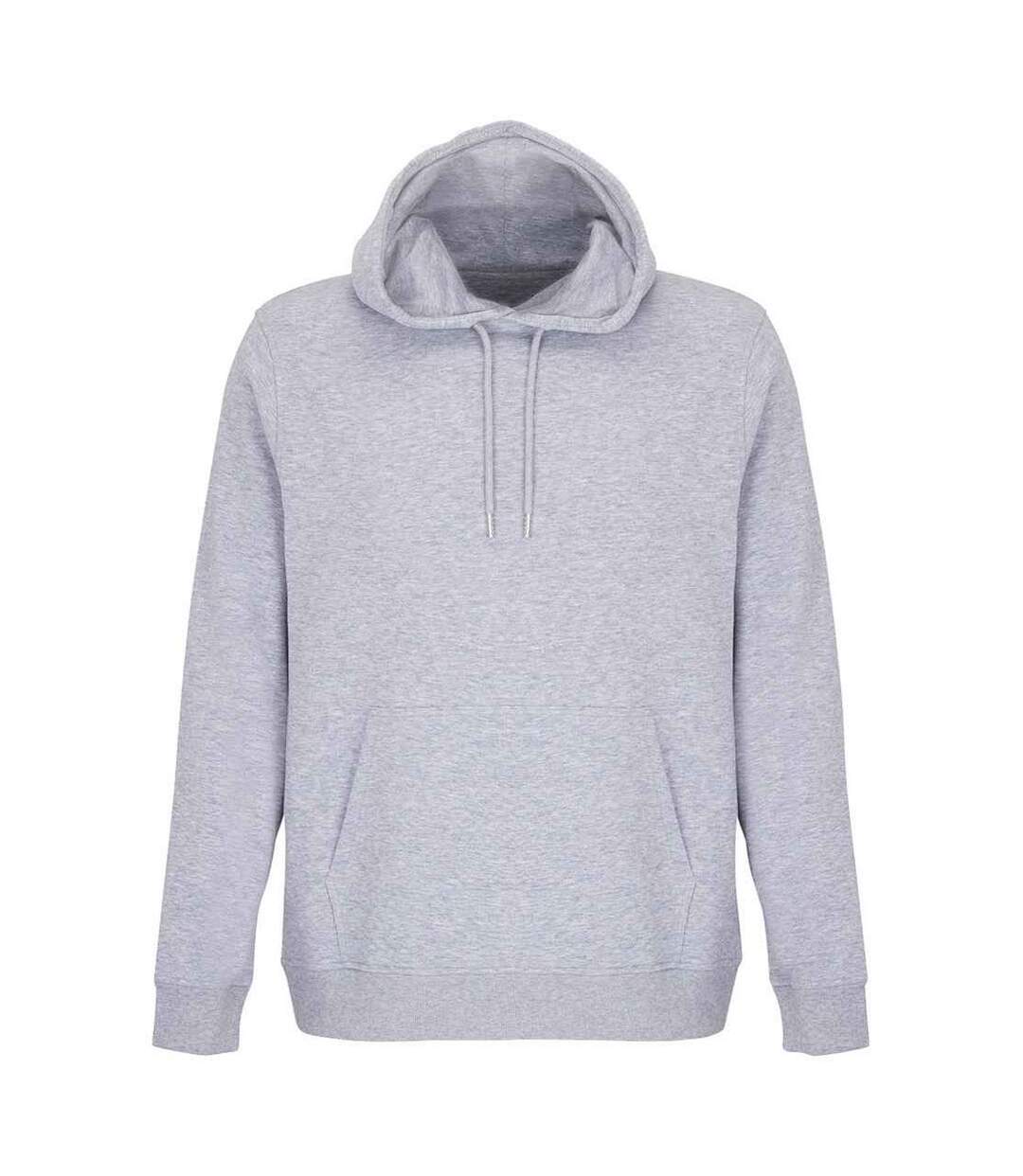 Sweat à capuche constellation adulte gris chiné SOLS