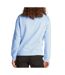Sweat bleu clair femme tommy hilfiger flag crew - l-2