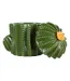 Boîte Cactus Déco en Céramique Yucatan 16cm Vert-2