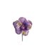 Hibiscus party picks 13cm purple Davies Products