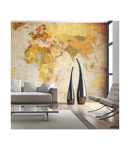 Papier Peint Old Globe II 270x450cm