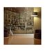 Papier Peint Parisian Fountain II 450x270cm-1