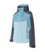 Dare 2B - Veste imperméable DIVERSE - Femme (Bleu ciel / Bleu clair) - UTRG6796