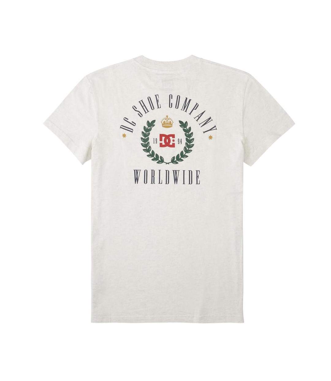 T-Shirt gris homme dc shoes hills-2