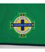 T-shirt Motif/style Rayures Contrastées Homme Vert Northern Ireland-3