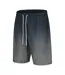 Mens Ombre Stripe Swimming Swim Shorts Blue Ombre Hot Tuna-3