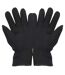 Gants thermiques en polaire 3m 40g homme noir Floso