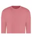 Sweat Adulte Vieux Rose Awdis-2