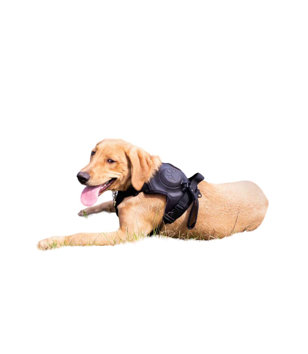 Extreme hybrid dog harness and lead set l black Ancol-1