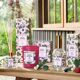 Bougie fruits des bois-2