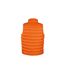 Result Mens Ice Bird Padded Bodywarmer / Gilet Jacket (Orange) - UTBC2726-2