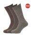 Lot de 3 Chaussettes rembourrées en mélange de laine paires homme nuances de brun Universal Textiles