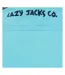 Sweat Homme Turquoise Vif Lazy Jacks-4