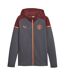 Mens Manchester City Fc Cotton Blend Hooded Jacket Grey Puma-2