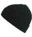 Atlantis Unisex Adult Shore Chunky Recycled Beanie (Bottle Green) - UTAB616