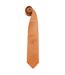 Premier Mens “Colors Plain Fashion / Business Tie (Pack of 2) (Orange) (One Size)