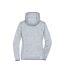 Sweat À Capuche Femme Carbone Gris Clair Chiné James And Nicholson-2