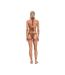 Womens/ladies Cici Seashell Bikini Bottoms Bronze Shell Devon Windsor-3