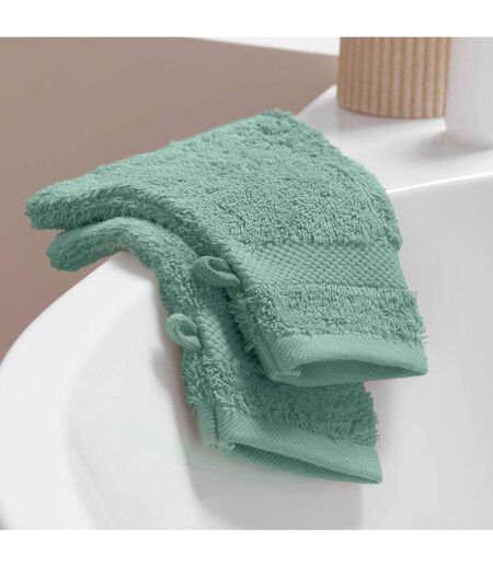 Lot de 2 Gants de Toilette Elegance 15x21cm Céladon