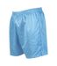 Precision Unisex Adult Micro-Stripe Football Shorts (Sky Blue)