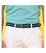 Asquith & Fox Mens Two Colour Stripe Braid Stretch Belt (Navy/Kelly) - UTRW5539-1