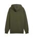 Mens Borussia Dortmund Long-sleeved Hoodie Green Puma-2