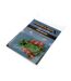 Minecraft Creeper Card Holder (Blue/Green/Red) (One Size) - UTTA8224