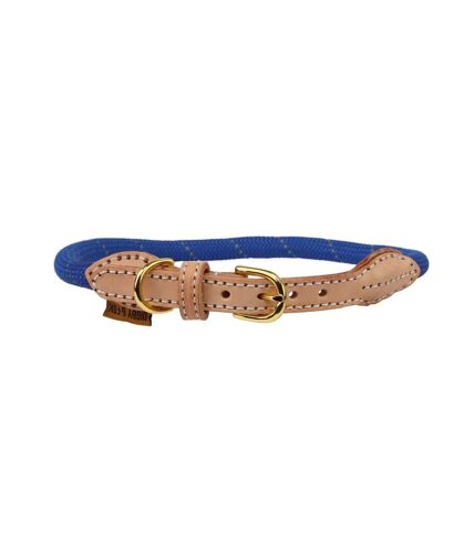 Digby & Fox Reflective Leather Dog Collar (Royal Blue) (L - Neckline: 46cm-56cm)