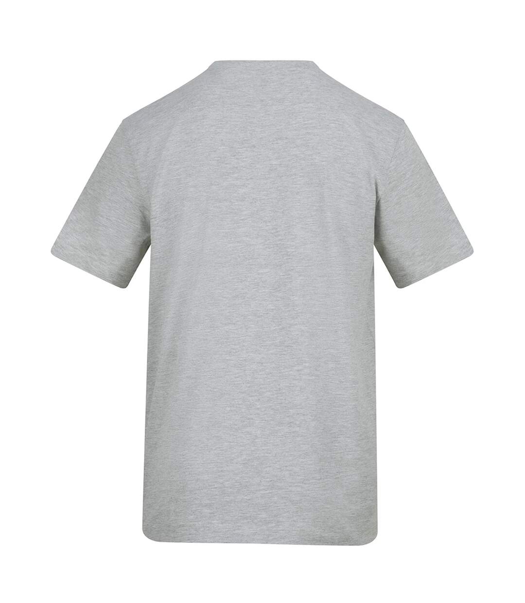 T-shirt Adulte Gris Chiné Awdis-2